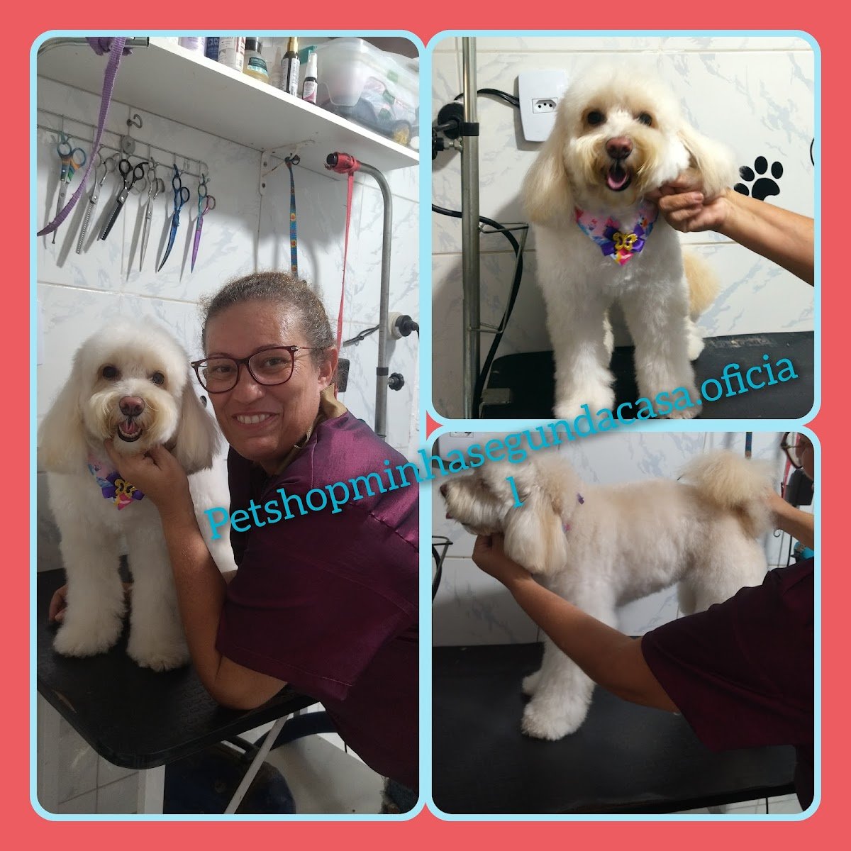 Pet Minha Segunda Casa