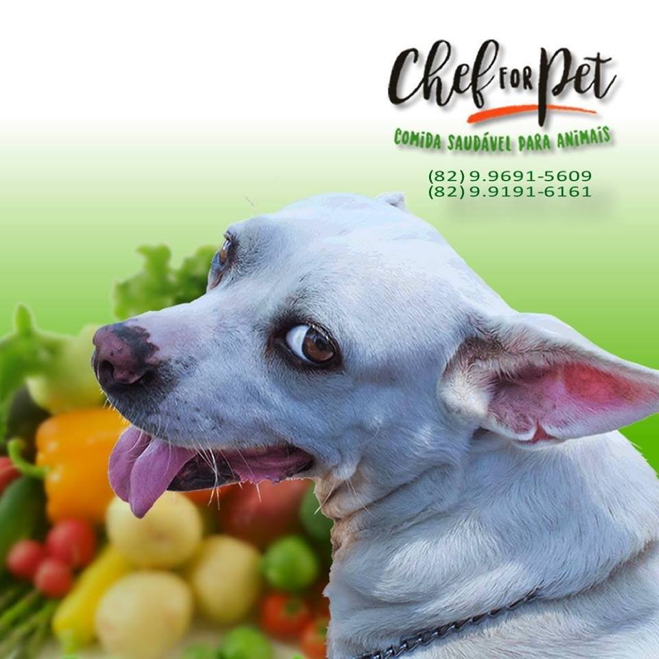 KennelVeterinaria.com Clinica Popular