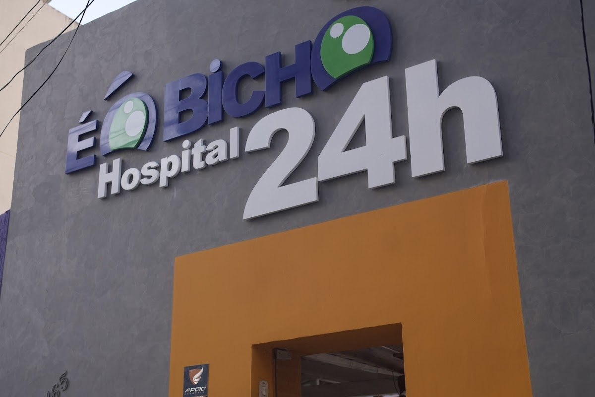 É O Bicho Clinica Veterinaria Pet Shop