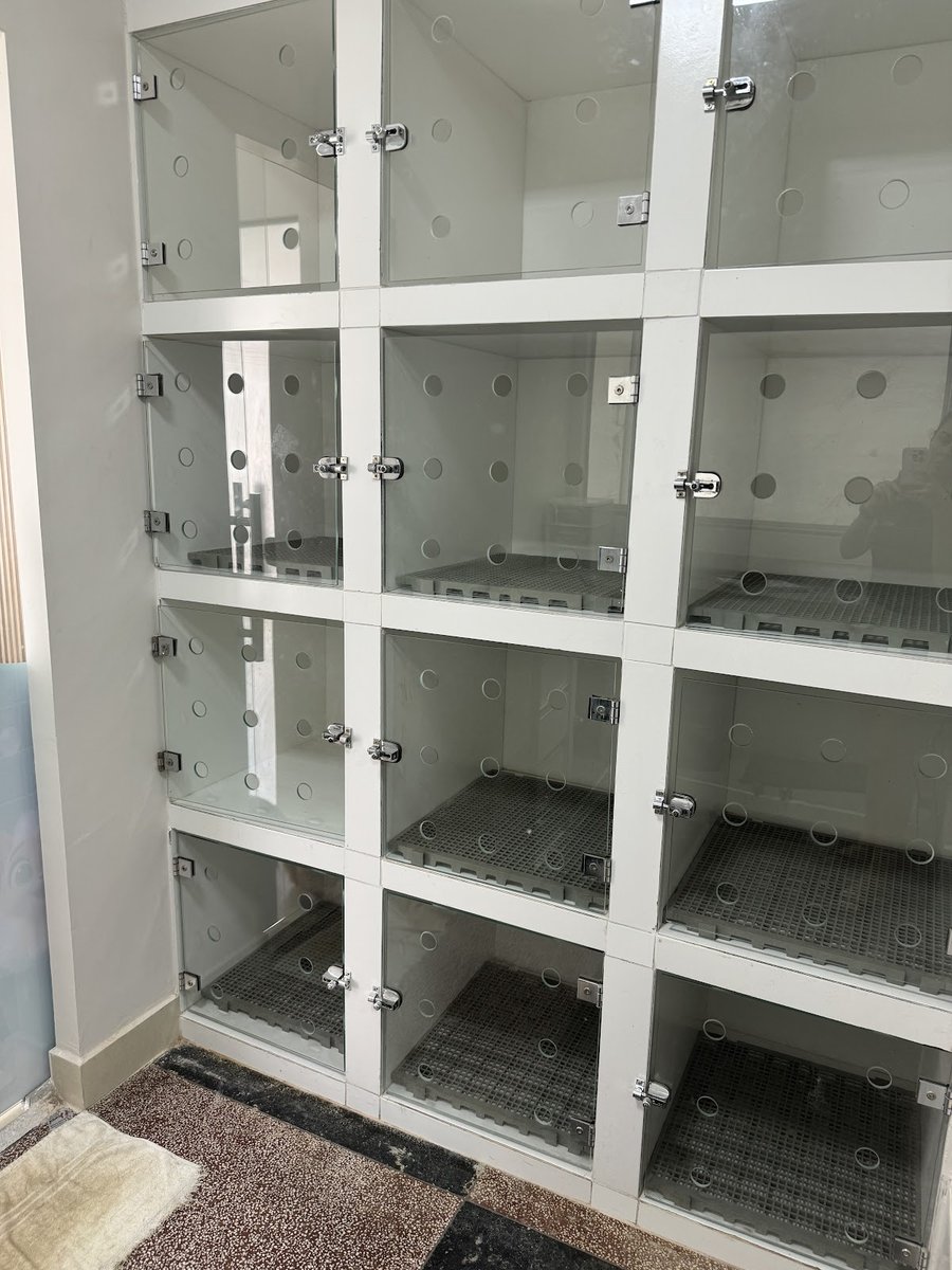 Armazém Pets - Cães e Gatos