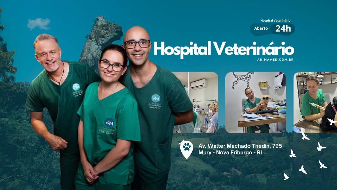 Veterinária Animamed