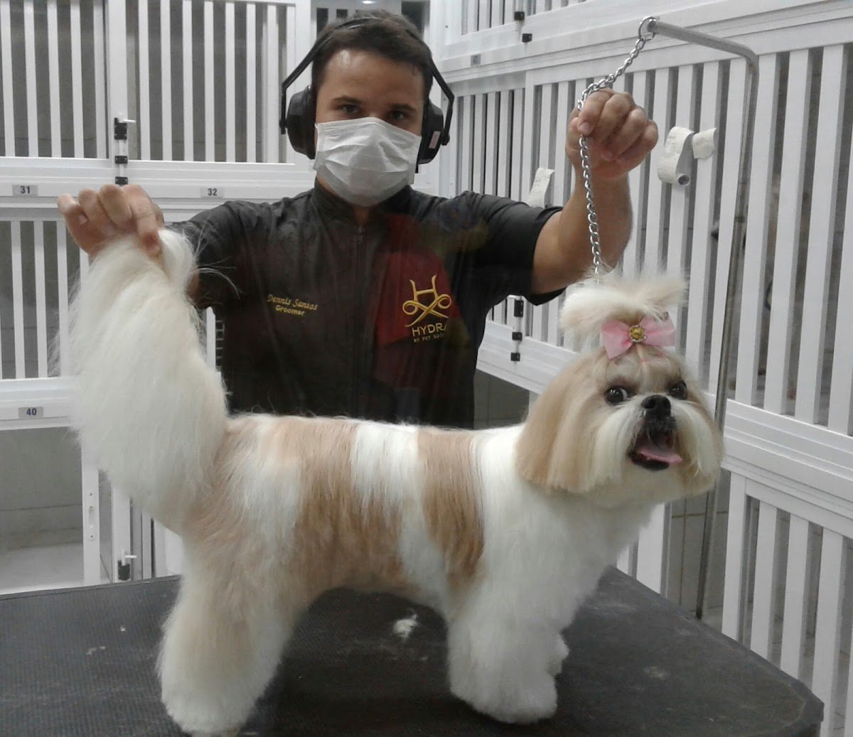 Pet Shop Animal Center