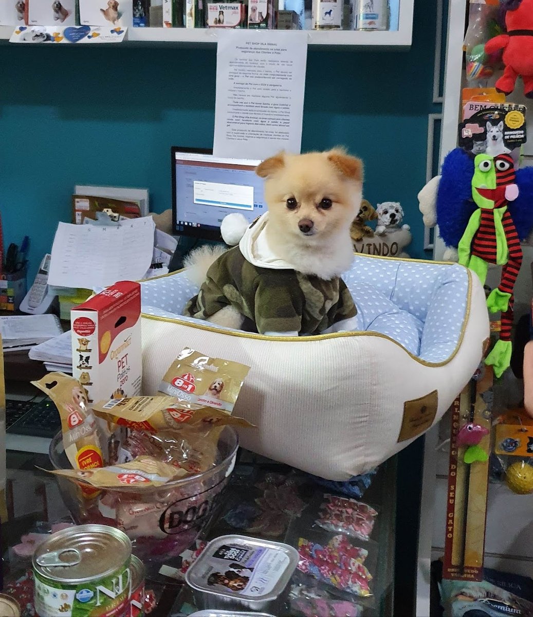 PET SHOP VILA ANIMAL