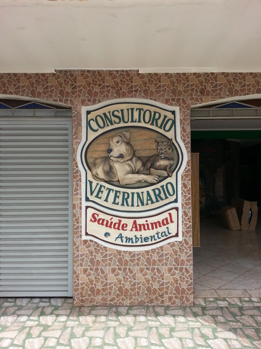 CONSULTÓRIO VETERINÁRIO SAÚDE ANIMAL E AMBIENTAL