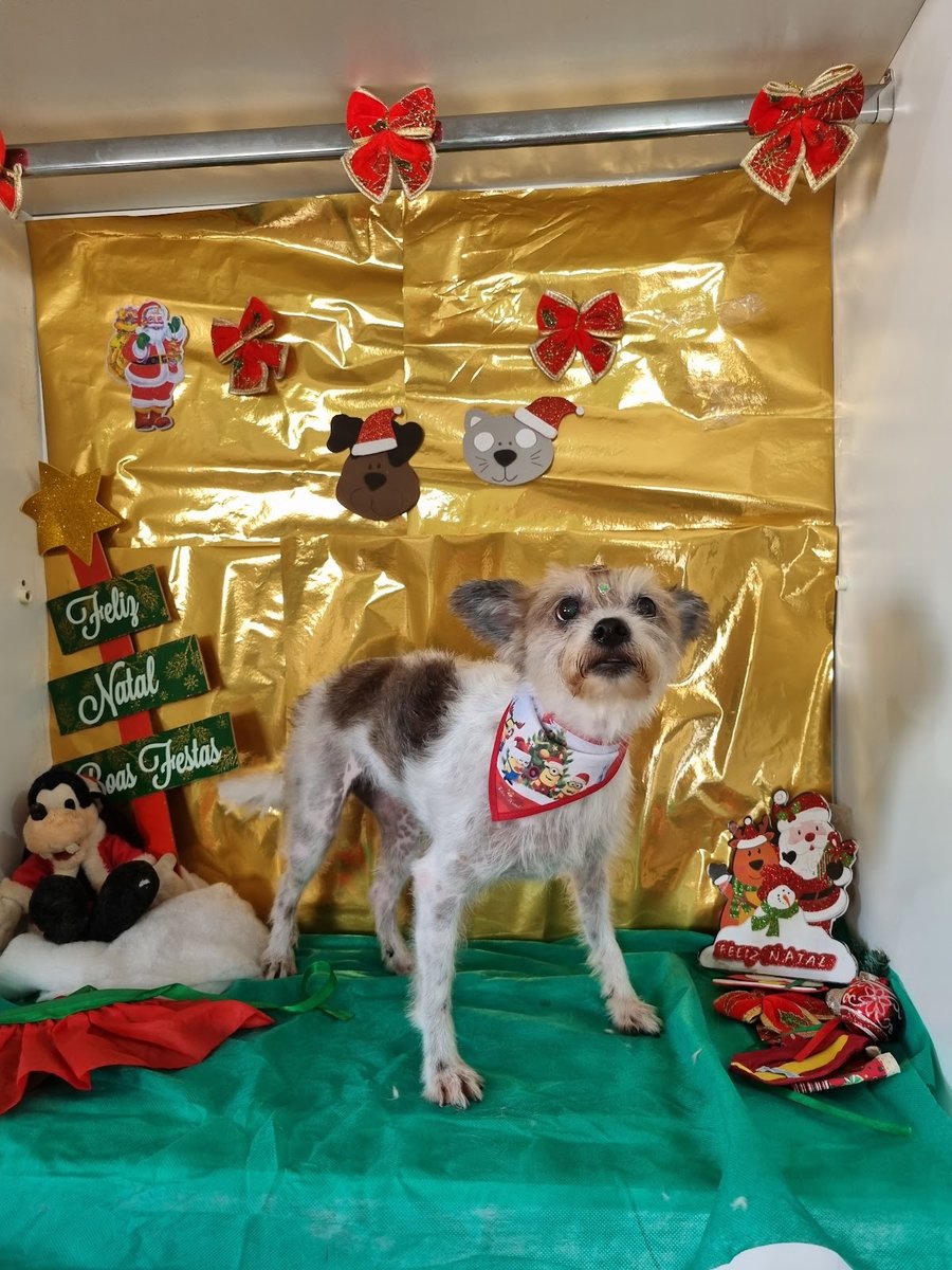 Clinica Veterinária SOS ANIMAL