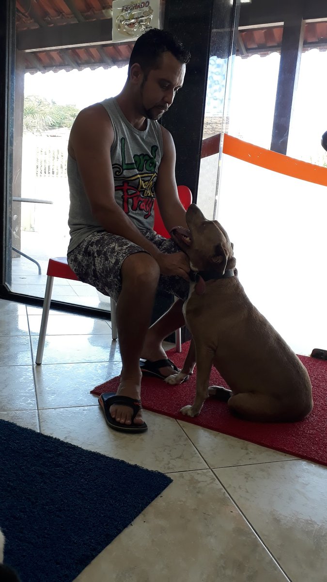 Clínica Veterinária Animalli