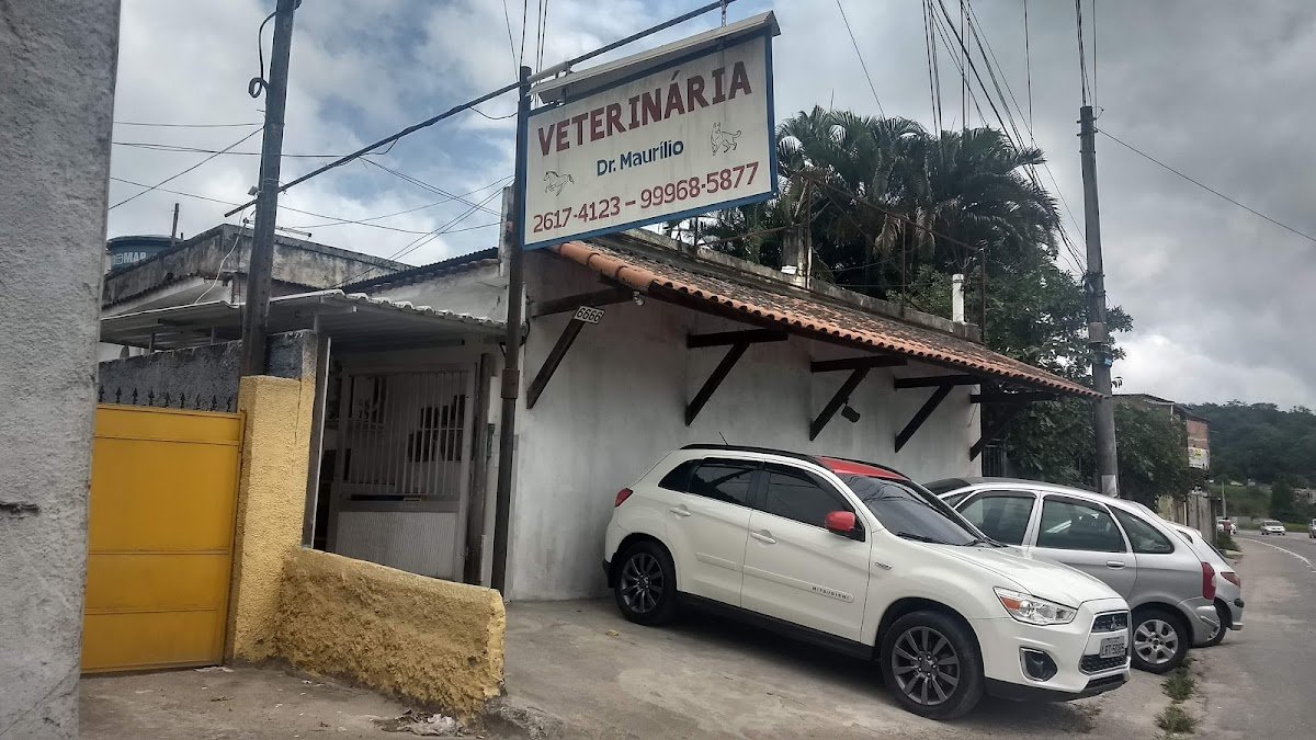 Veterinária Dr MAURÍLIO