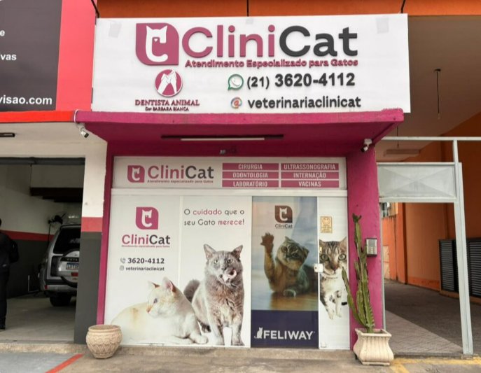 Veterinária CliniCat