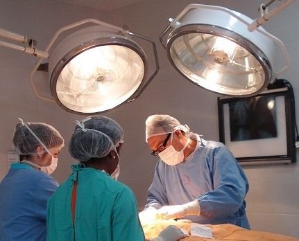 Veterinaria Dr. Marcel Vasconcellos