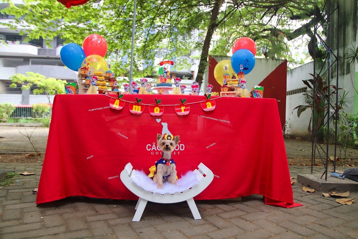 Cão Sabor - Comida Saudável