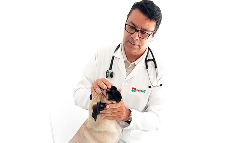 Dagmar Veterinário