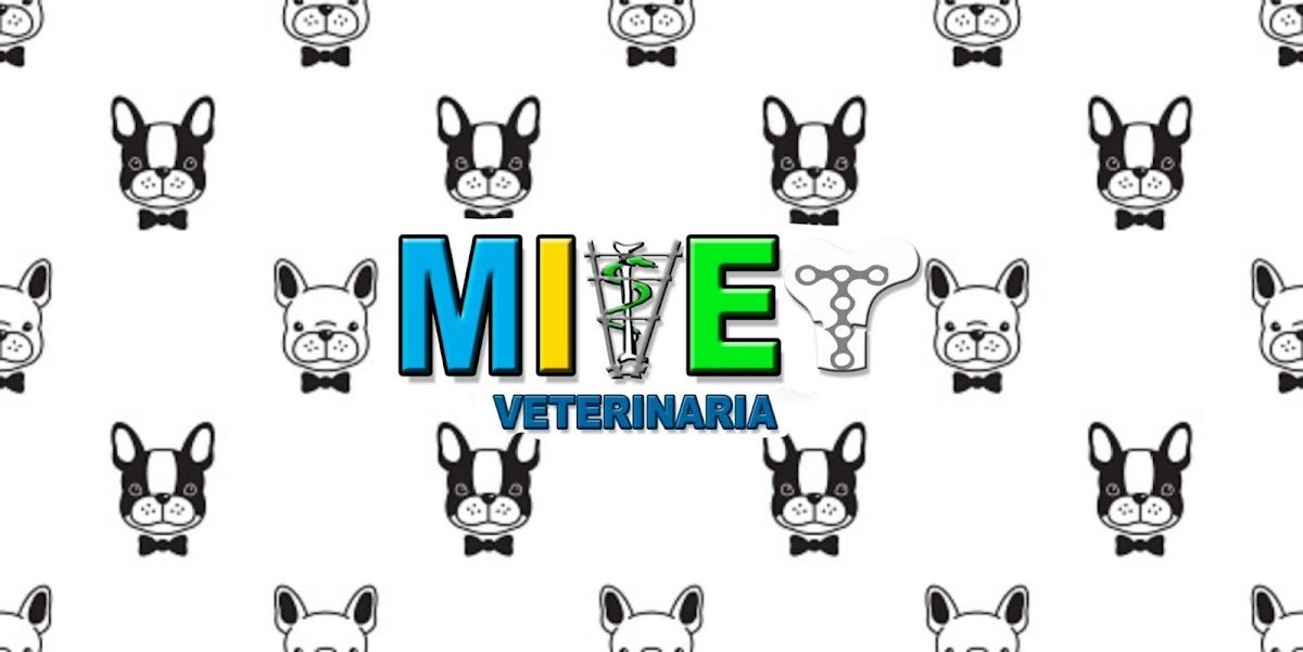 Mivet Veterinaria