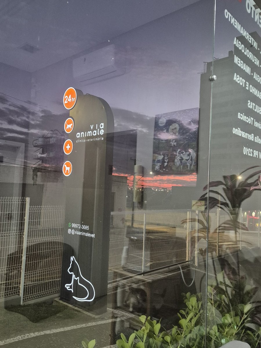 Via Animale Centro de Assistência Veterinária