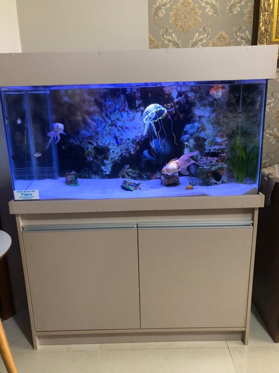 Aquatica Ponta Grossa