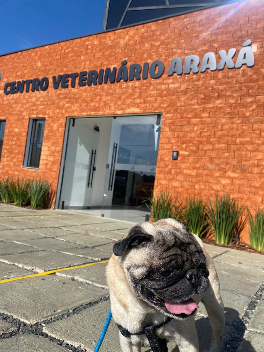 Centro Veterinario Araxa