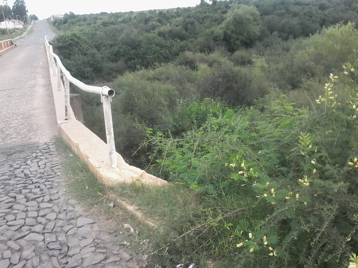 Agroveterinária Nystrom