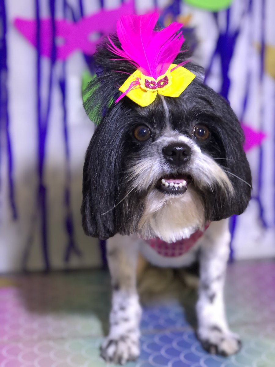 Clínica Veterinária e Laboratório São Lázaro