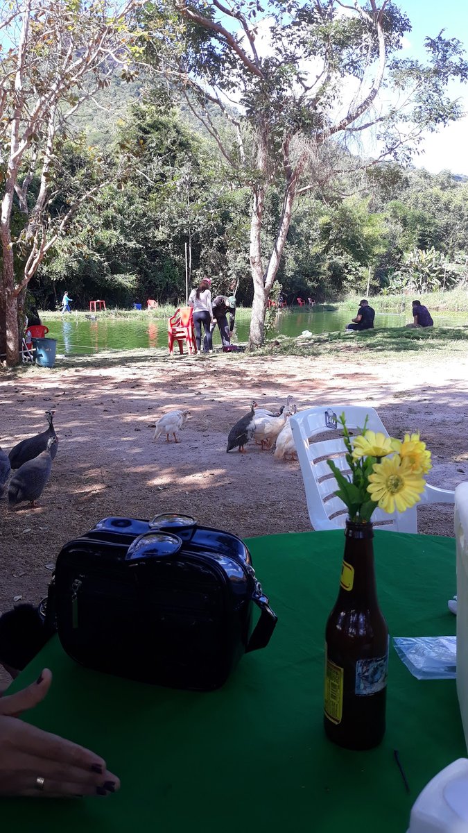 Hidrobios Planejamento e Consultoria Ambiental