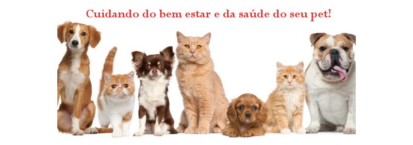PetShop e Veterinaria Paula Lima