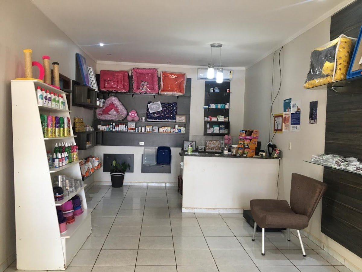 Clinica Veterinaria Cães e Gatos