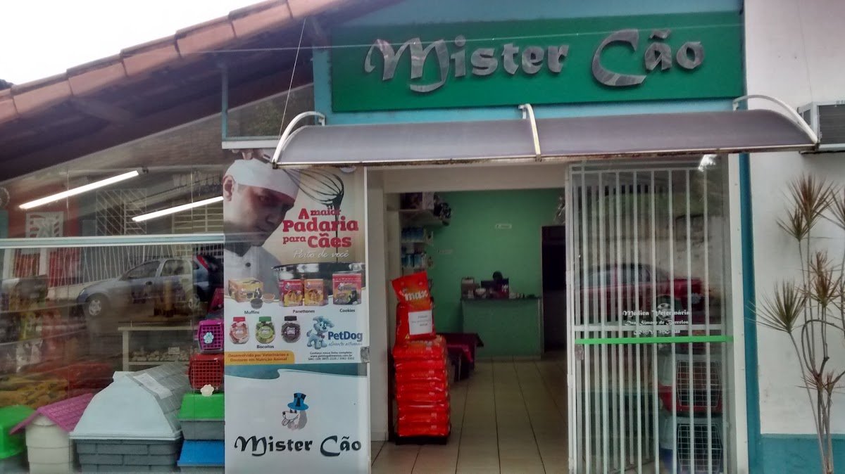 Mister Cão