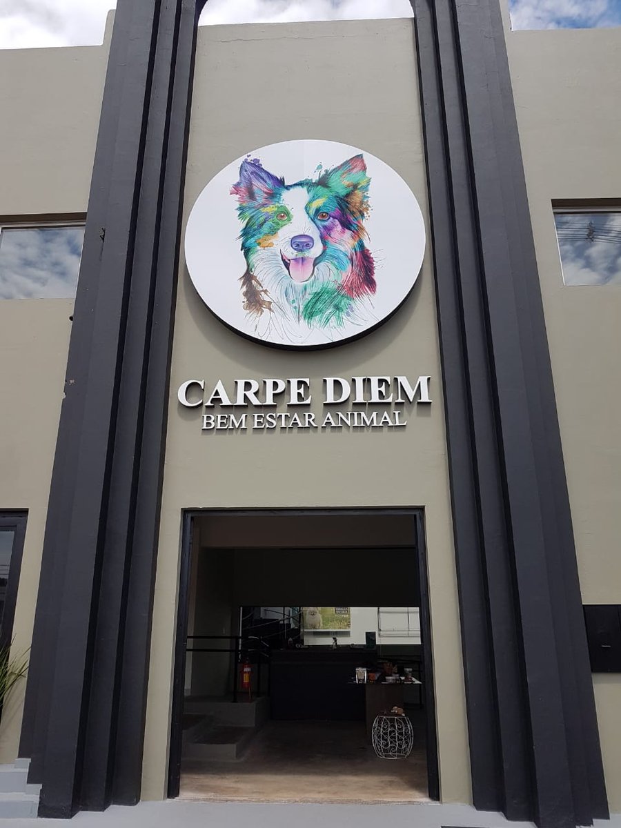 Carpe diem bem estar animal