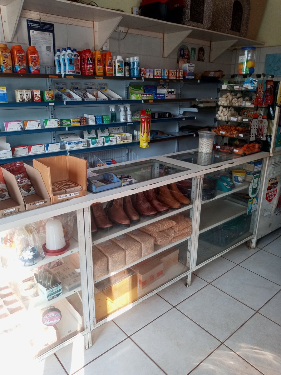 A CASA DO BOM CRIADOR (andré siquinelli nakane - me)