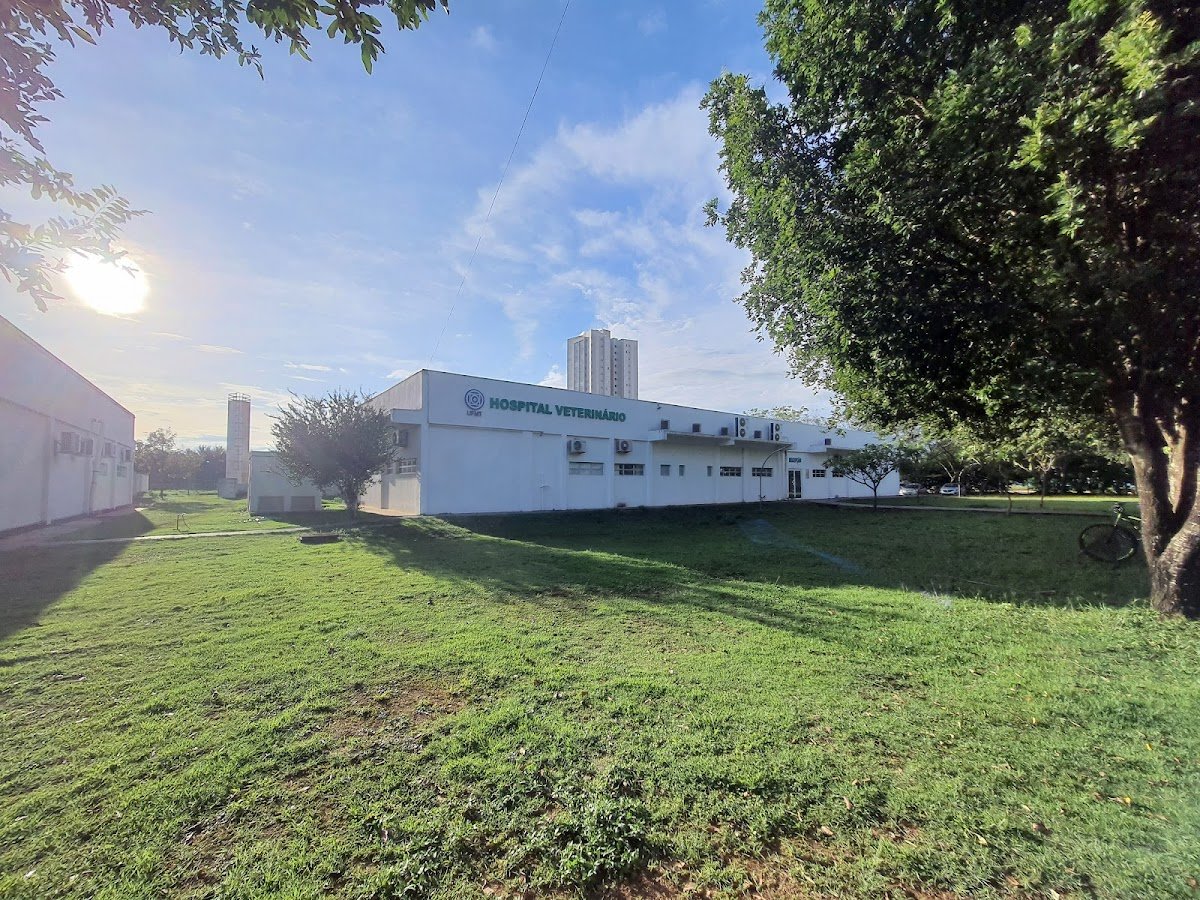 Hospital Veterinário