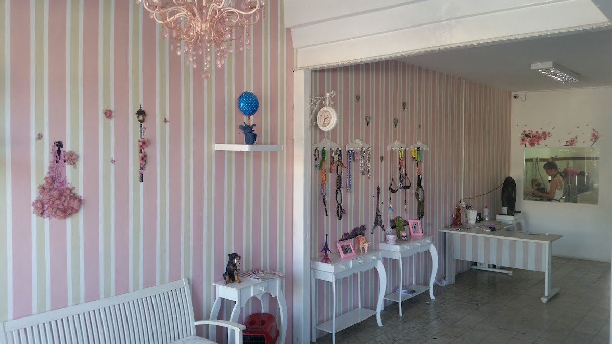 Pet House - Pet Shop, Salão, Hotelzinho