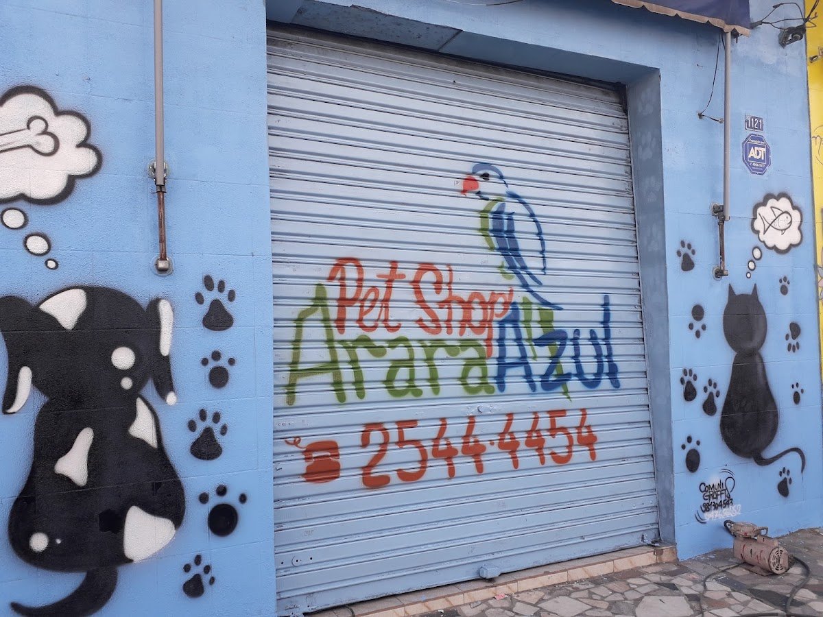 Avicultura Arara Azul