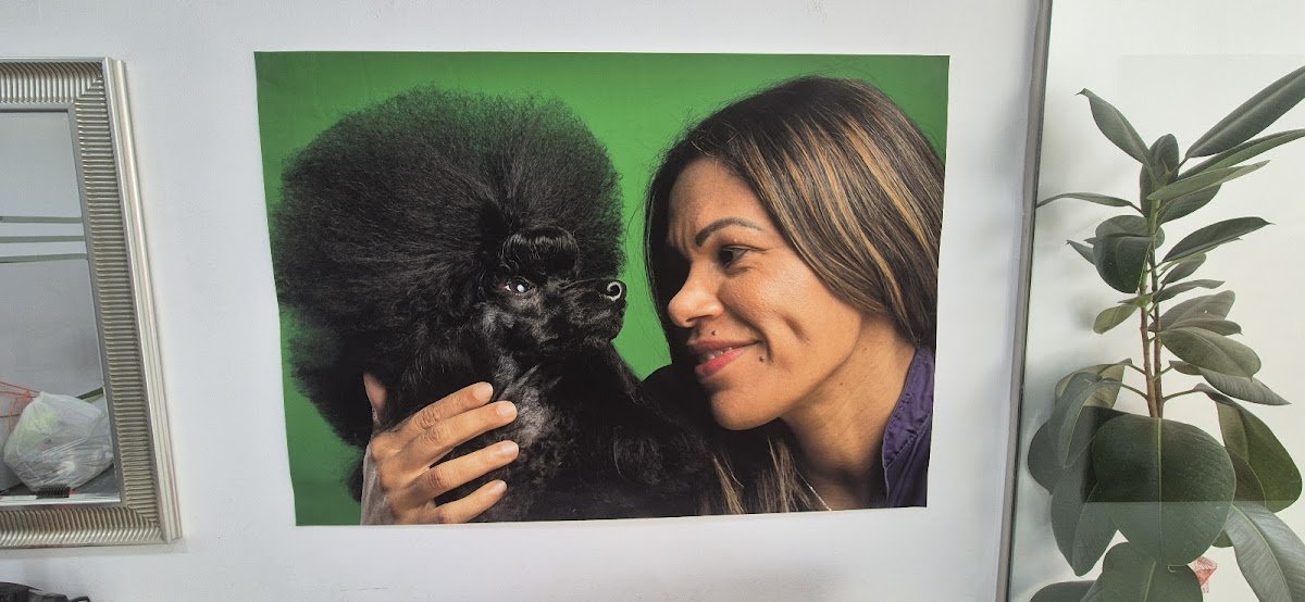 Núria Llort- Art Animal Peluqueria canina