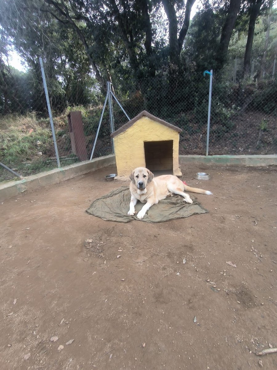 La Masía Dels Animals