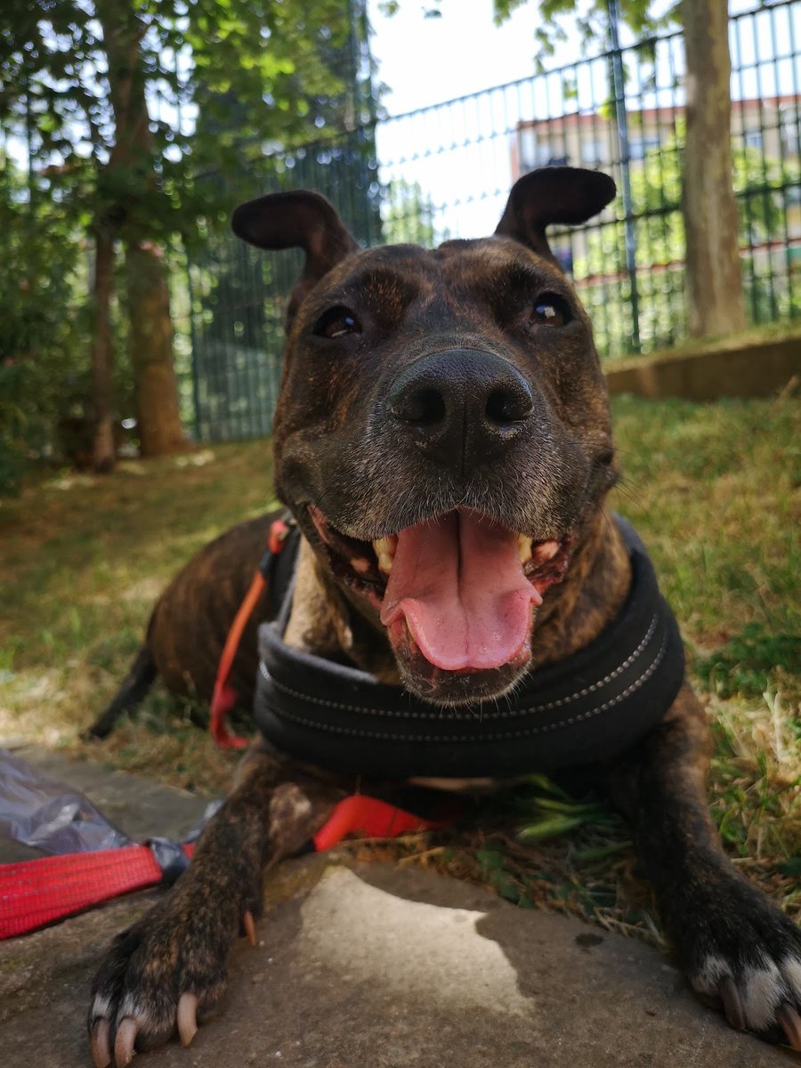 Clínica Veterinaria Milton