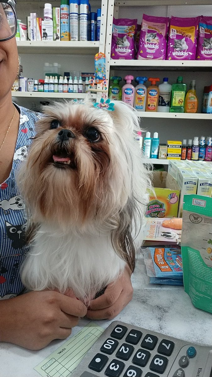 Big Dog Pet Shop e Veterináris