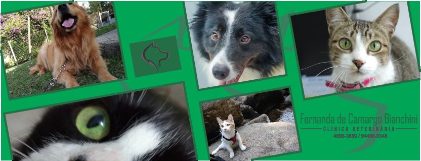 Clínica Veterinária Fernanda de Camargo Bianchini