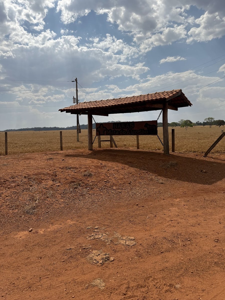 Haras Mata de Algodão