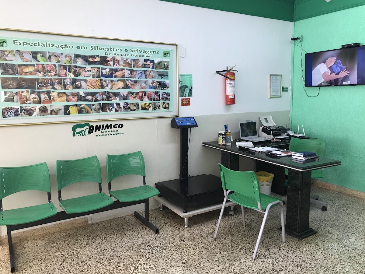 Animed Veterinário