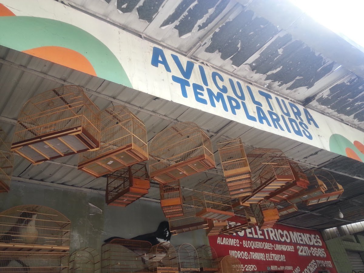 Avicultura Templários