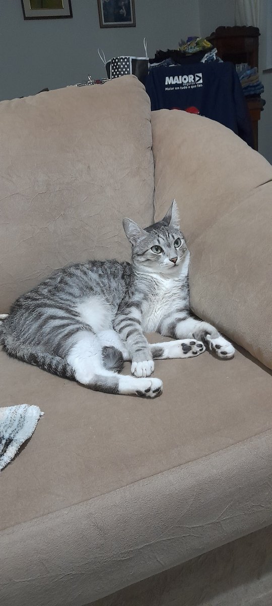 Clínica Veterinária São Camilo