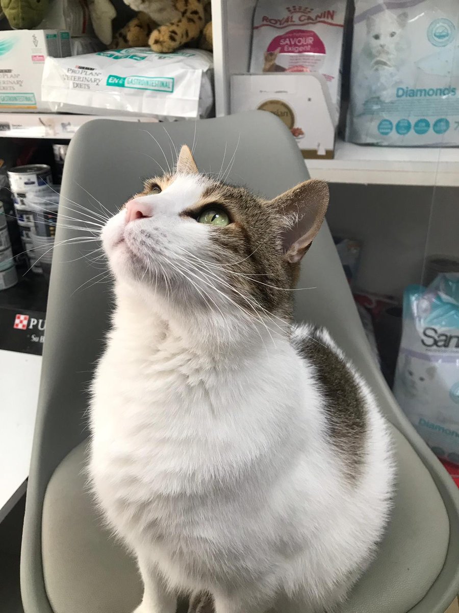 Centro Veterinario Area Central SL