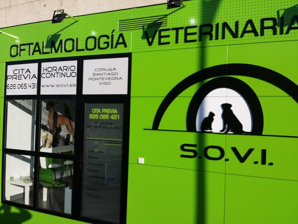 SOVI Servicio de Oftalmología Veterinaria Interclínica