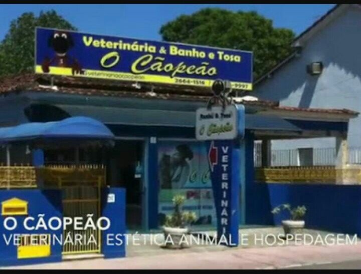 O Cãopeão Veterinária