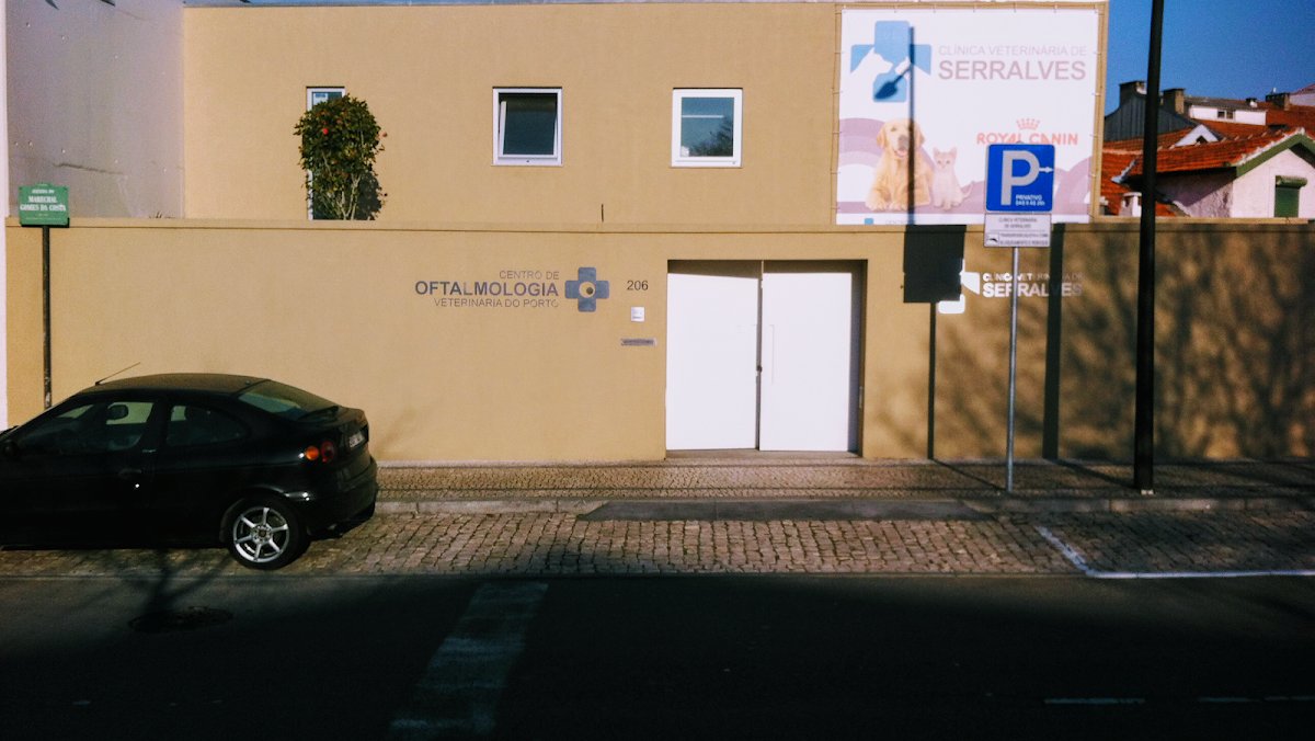 Veterinary Clinic Serralves