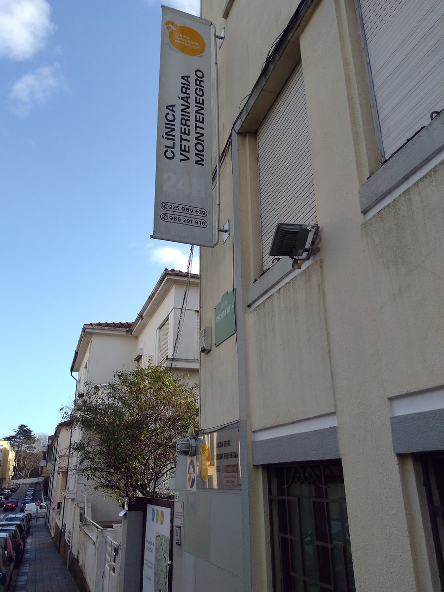 Veterinary Clinic Montenegro