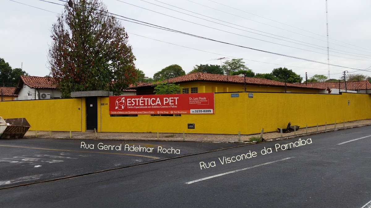 Estética Pet