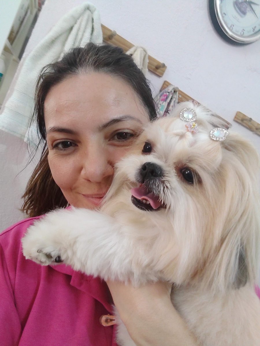 Arca de Noé Clínica Veterinária