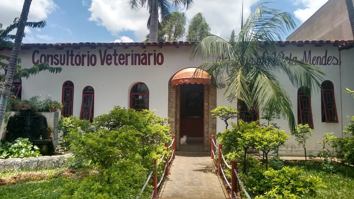 Consultório Veterinário - Dr. Eduardo Vilela Mendes