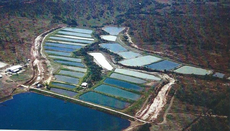 Lufada Agropecuária & Piscicultura Ltda