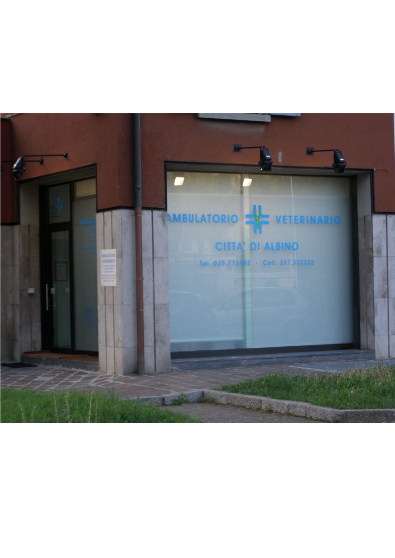 Ambulatorio veterinario città di Albino
