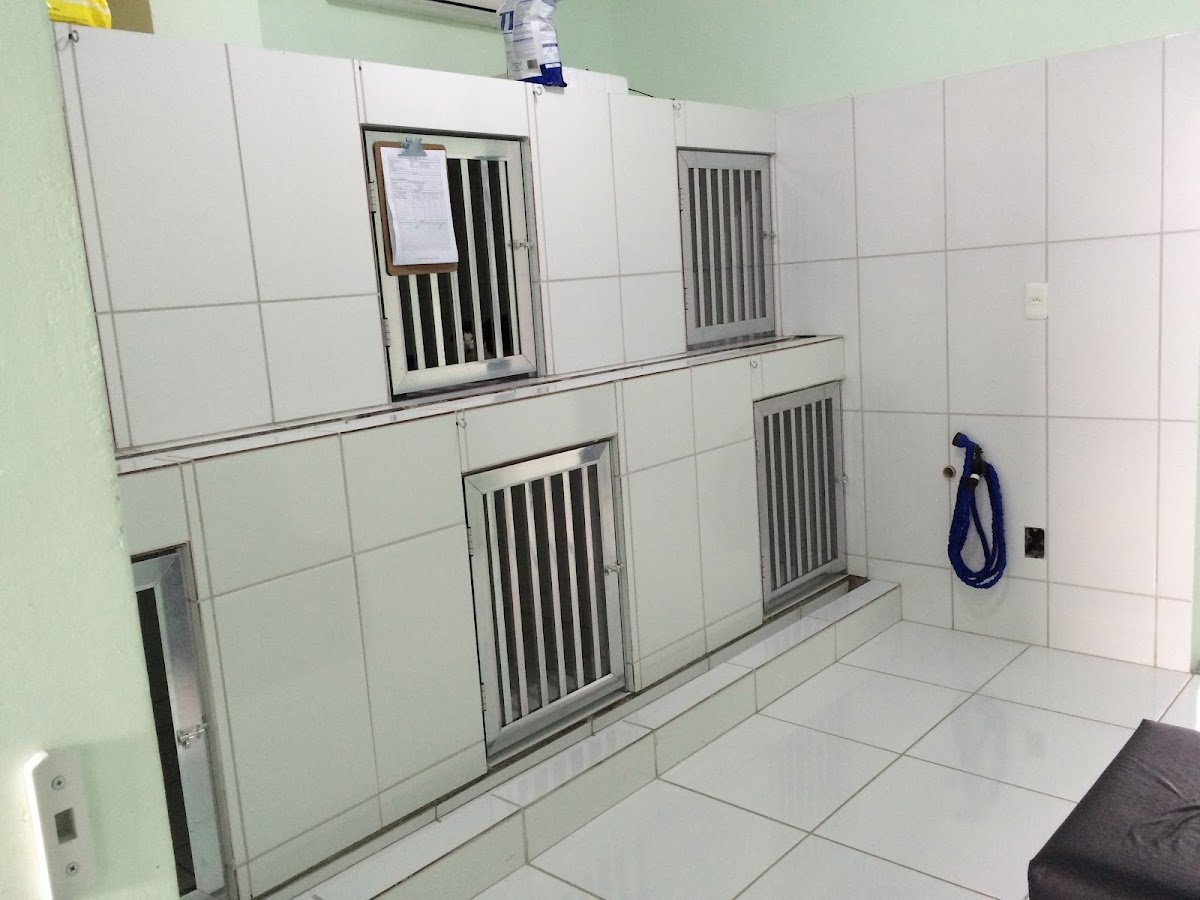 Veterinária Bittencourt Zickwolf